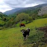 El Rincon De La Naturaleza *