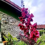 El Rincon De La Naturaleza El Avellanal