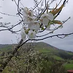 El Rincon De La Naturaleza