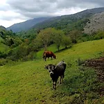El Rincon De La Naturaleza Holiday home El Avellanal