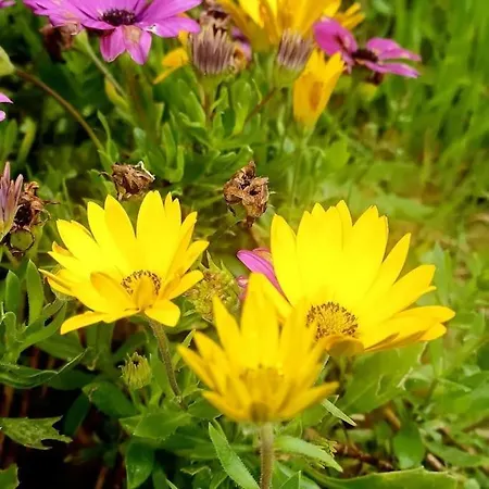 El Rincon De La Naturaleza Casa vacanze *