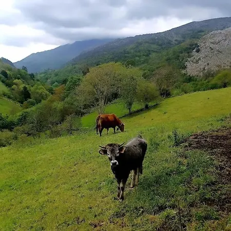 El Rincon De La Naturaleza *