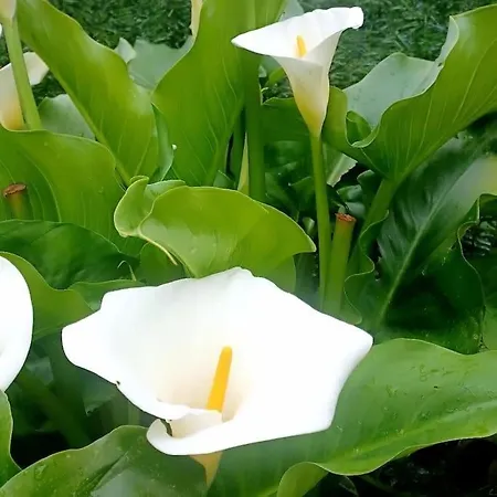 El Rincon De La Naturaleza بيت للعطل