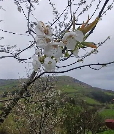 El Rincon De La Naturaleza