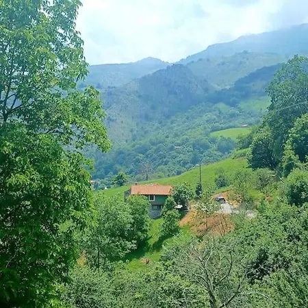 El Rincon De La Naturaleza El Avellanal