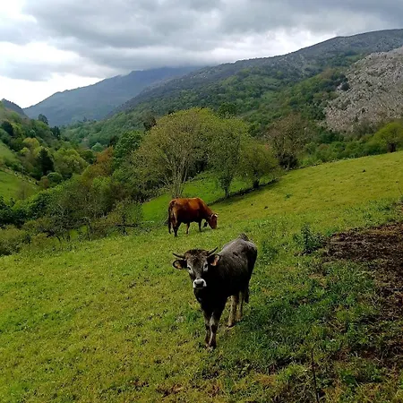 El Rincon De La Naturaleza Hébergement de vacances El Avellanal