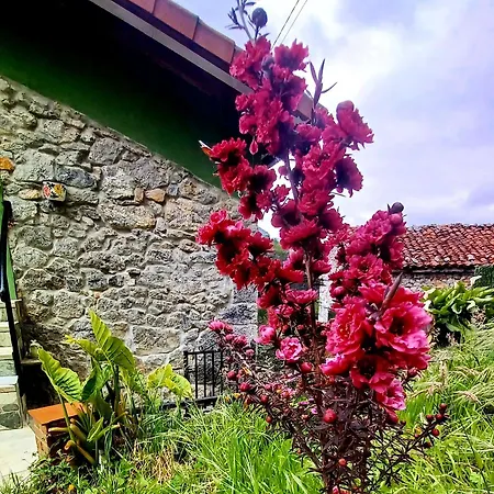 El Rincon De La Naturaleza El Avellanal