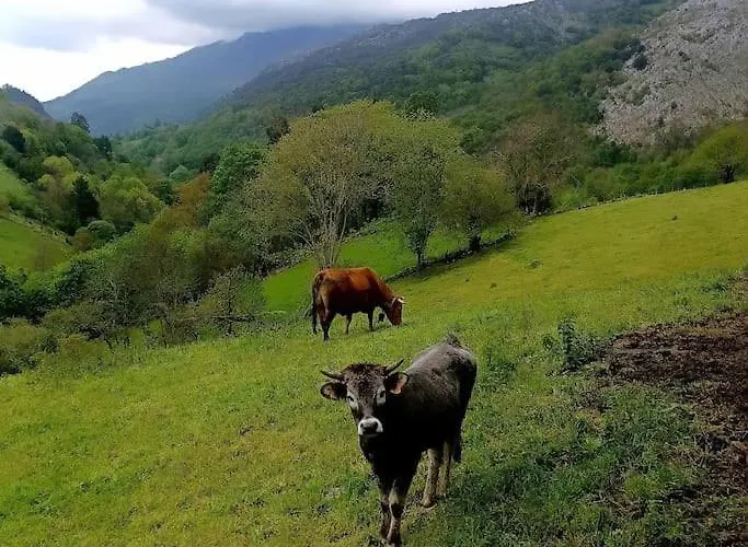 El Rincon De La Naturaleza *