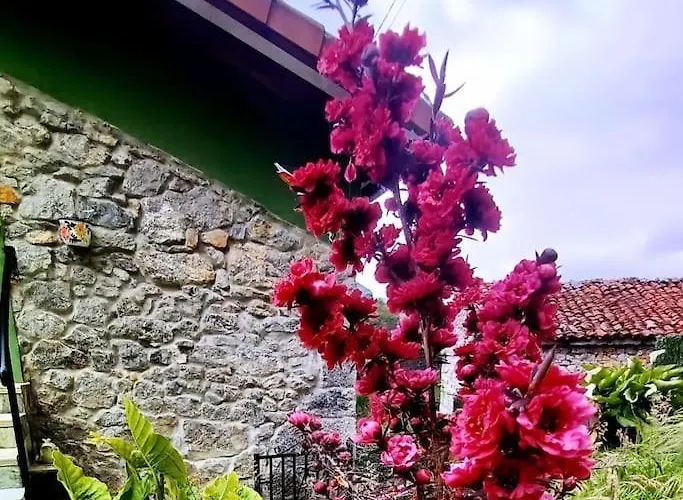 El Rincon De La Naturaleza El Avellanal