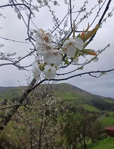 El Rincon De La Naturaleza