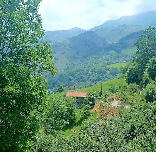 El Rincon De La Naturaleza El Avellanal