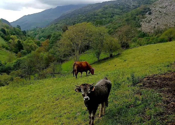 El Rincon De La Naturaleza Feriehus El Avellanal